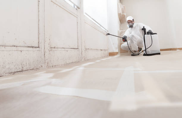 24/7 Emergency Mold Testing experts in Lincoln Park, MI