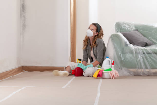 Reliable Mold Testing contractor in Lincoln Park, MI by WQB Mold Removal